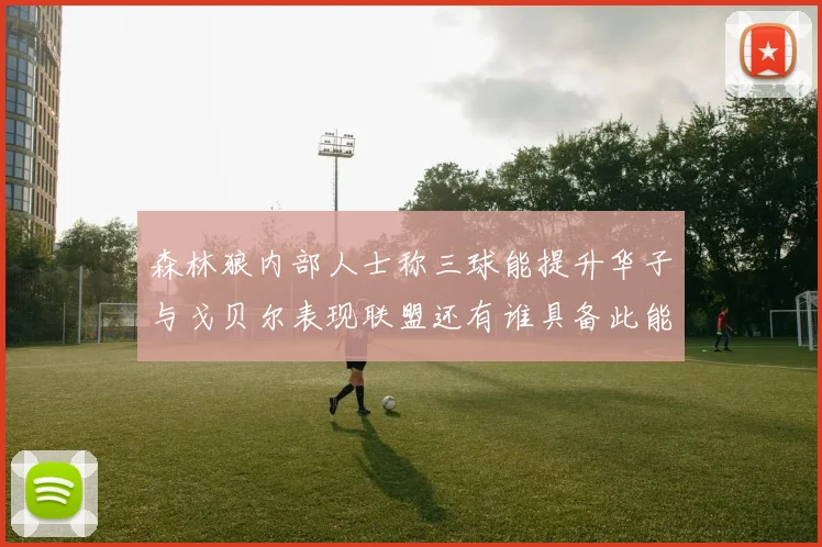森林狼内部人士称三球能提升华子与戈贝尔表现联盟还有谁具备此能力